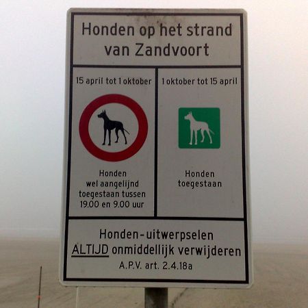 Appartement In Zandvoort Eksteriør billede