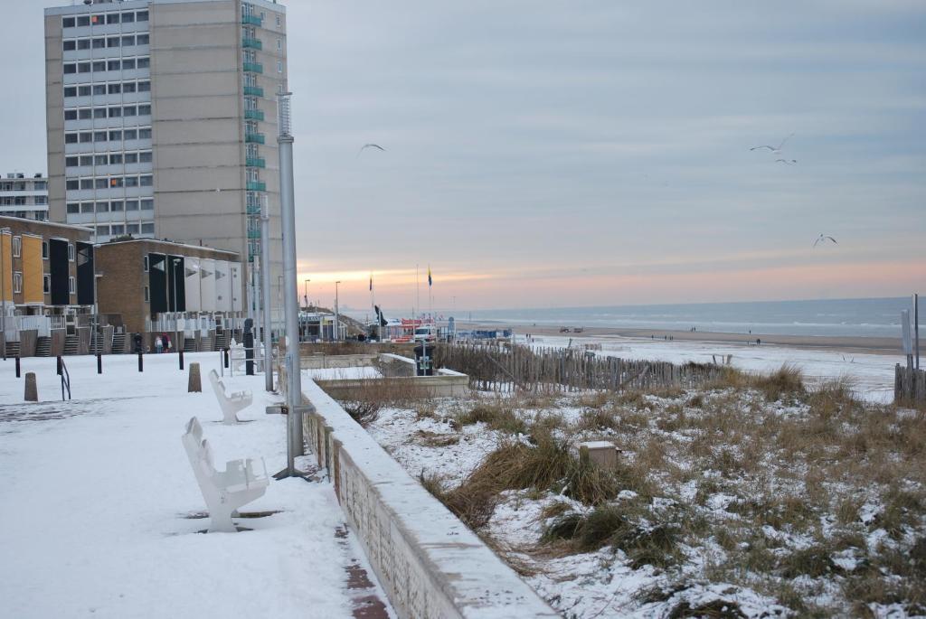 Appartement In Zandvoort Eksteriør billede